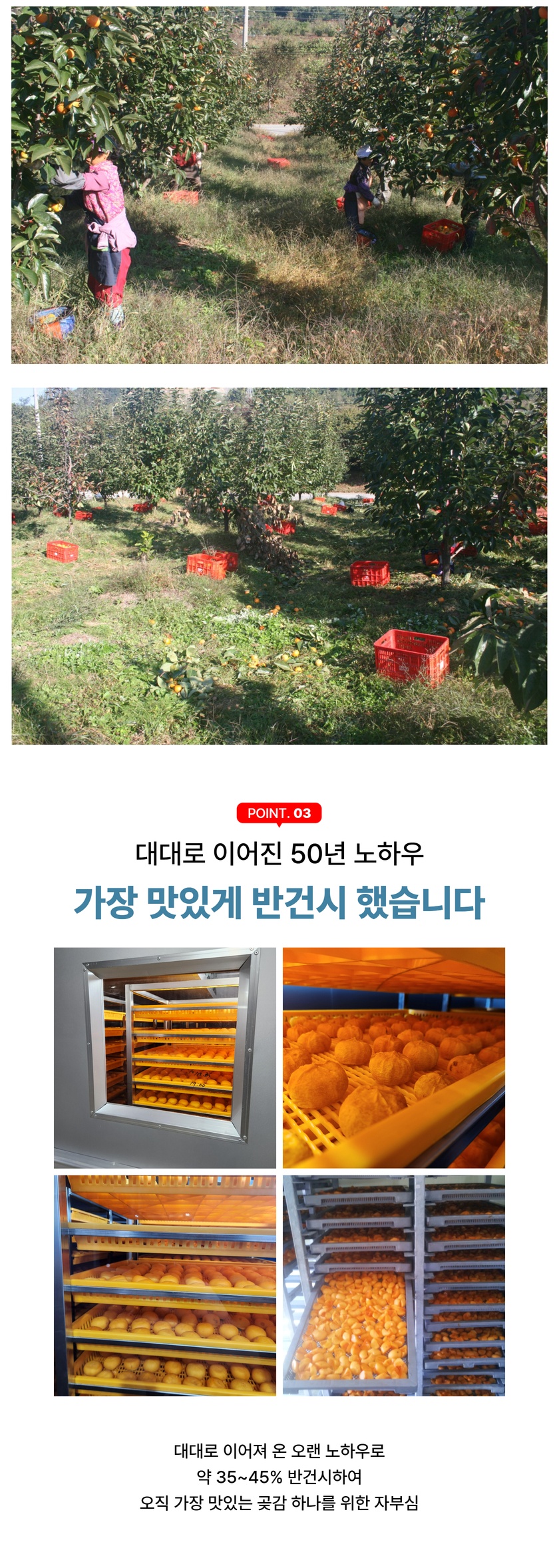선물용 상자에 가지런히 담긴 대봉 반건시