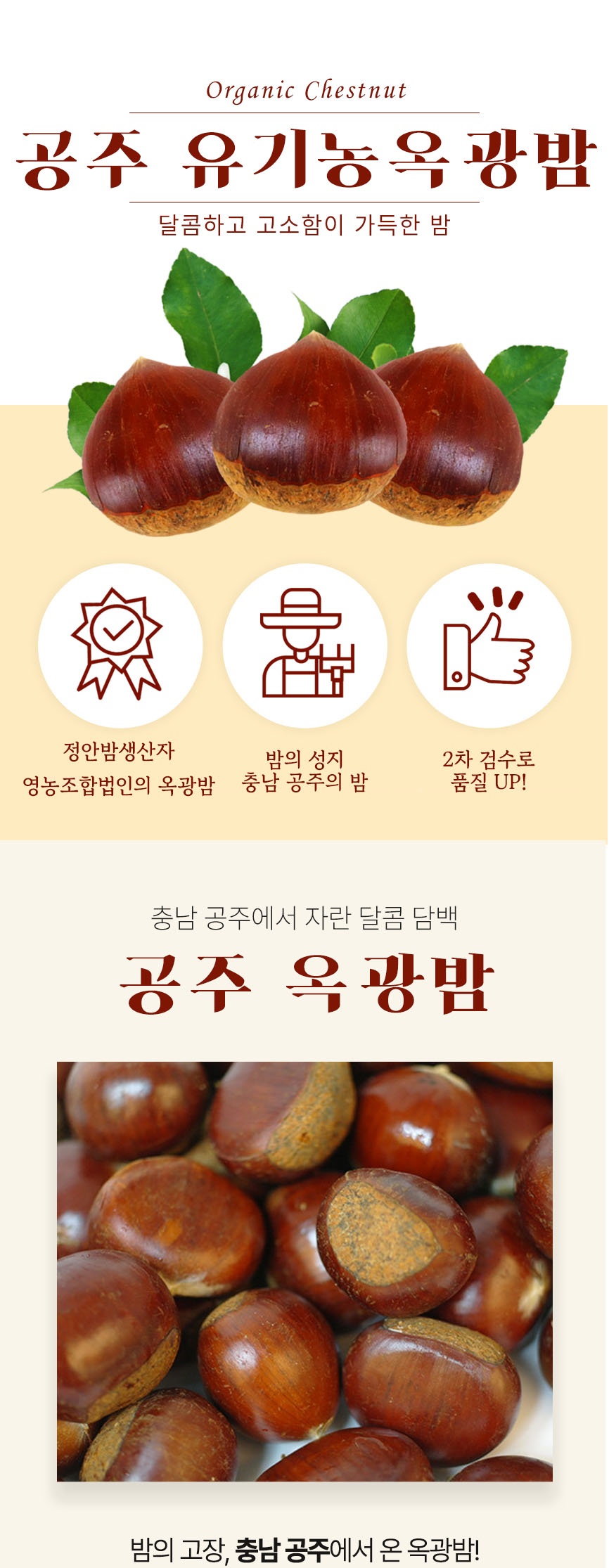 2026년 햇 옥광밤 2kg