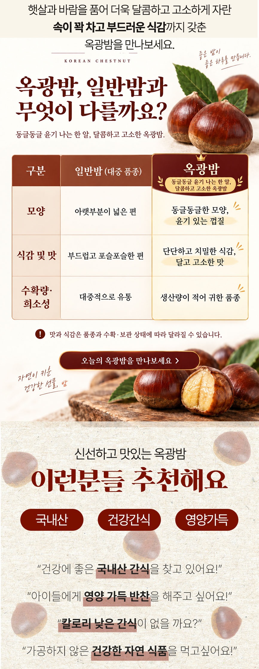 2026년 햇 옥광밤 3kg